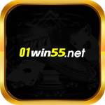 01win55 net Profile Picture