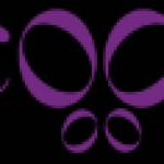 Cocoona India Profile Picture