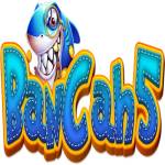 bancah5 vin Profile Picture