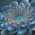 laxmi k Profile Picture