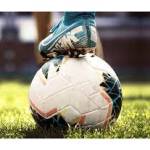 Livescores Biz Profile Picture