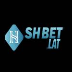 shbetlat shbetlat Profile Picture