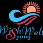wishwell spring Profile Picture