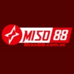 Miso88 Profile Picture