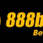 888b vncom Profile Picture