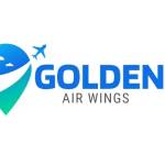 Golden Airwings Profile Picture