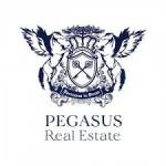 Pegasus Real Estate Profile Picture