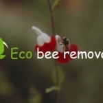 ecobee removal Profile Picture