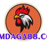 dagathomo 88 Profile Picture