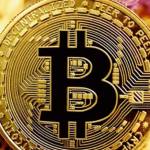 aster crypto Profile Picture