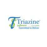 Triazine Software Pvt Ltd Profile Picture