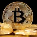 btccraze 641 Profile Picture