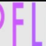 dampflager dampflager Profile Picture