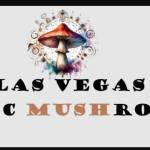 magicmushrooms magicmushrooms Profile Picture
