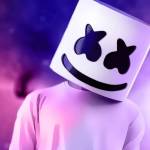 nOAH SEO Profile Picture