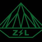Zhili Group Profile Picture