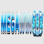MEGAWIN 888 Profile Picture