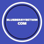بلوبری بت blueberrybet Profile Picture
