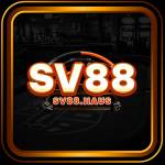 SV88 haus Profile Picture