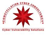 thecyber consultancy Profile Picture