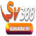 SV388 Nhà cái cá cược Profile Picture