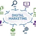 Seo work Profile Picture