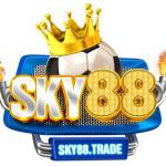 SKY88 trade Profile Picture