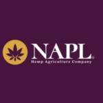 NAP Limited Profile Picture
