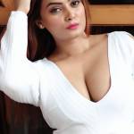 Hyderabad Escorts Profile Picture