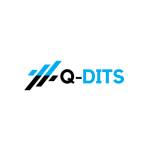 Q-Dits Profile Picture