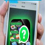 whatsapp web cn Profile Picture