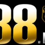 N88 Earth Profile Picture