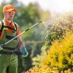 Asm Pestcontrol Profile Picture