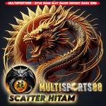 MULTISPORTS88 SLOT Profile Picture