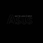 Asus Smart Login Profile Picture