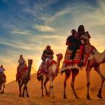 uae desertsafari Profile Picture
