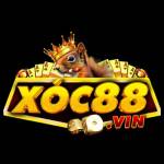 xoc88 vin Profile Picture