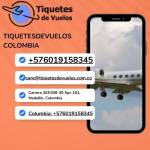 tiquetesdevuelos COLOMBIA Profile Picture