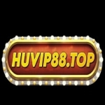 Huvip Profile Picture