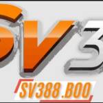 sv388 boo Profile Picture