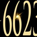 Galaxy6623 TRANG CHỦ ĐĂNG KÝ NHÀ CÁI 6623 NHẬN THƯỞNG 288K Profile Picture