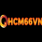 hcm66 vncom Profile Picture