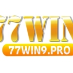 Nhà Cái 77Win Profile Picture