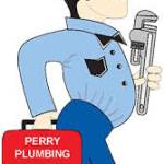 Perry Plumbing and Pipelining Profile Picture