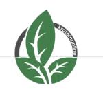 Kratom Online Profile Picture
