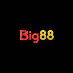 BIG88 nhà cái thể thao Profile Picture
