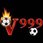 V999 Bcom Profile Picture