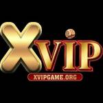 xvip game Profile Picture