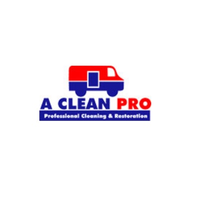 A Clean Pro Profile Picture